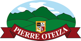 Pierre Oteiza