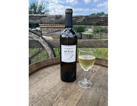 Domaine Brana - Vin Irouleguy AOC Blanc